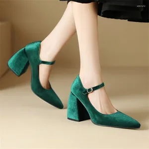 Dress Shoes PXELENA 2024 Korean Women Velvet Ankle Strap Chunky Block High Heels Pointed Toe Faux Suede Party Office Lady Pumps 34-46