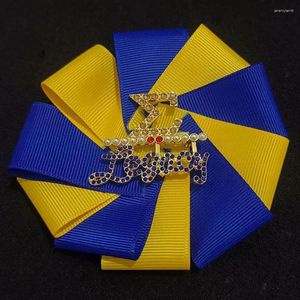 Broscher silkesblomma formade bandskolans organisation grekisk brev inlagd strass sgr brosch smycken