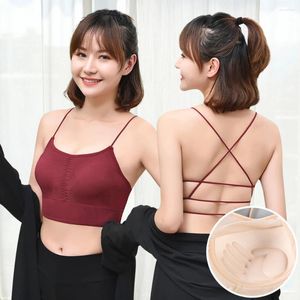 BHs Einheitsgröße 2024 Zurück eingewickelte Brust Offene Leibchen Sexy Mode Tube Top Sportweste Schön