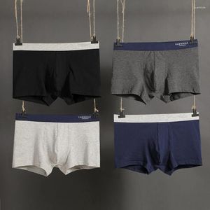 Mutande 2024 Pouplar Marca Tronco Gay Biancheria Intima del Mens Boxer Sexy Mutandine di Cotone Ropa Erotica Hombre Roupas Sensuais N4