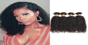 modern show mongolian kinky curly human hair bundles wave brazilian weaves5736979