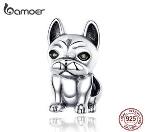 French Bulldog Metal Pärlor för kvinnor Original Silver Charm Armband 925 Sterling Silver European Fashion Jewelry6656772