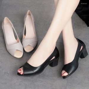 Dress Shoes Open-toed Summer Office Work Mid-heeled High Heels Women Sandals Black