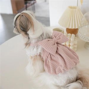 Abbigliamento per cani Abito inverno cucciolo di gonna piccola gonna costumi schnauzer barboncieli chihuahua shih tzu maltese Yorkies abiti da compagnia xxs