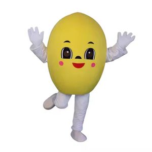 High quality fruit Mascot Costumes Christmas Fancy Party Dress Cartoon Character Outfit Suit Adults Size Carnival Easter Advertising Theme Clothing