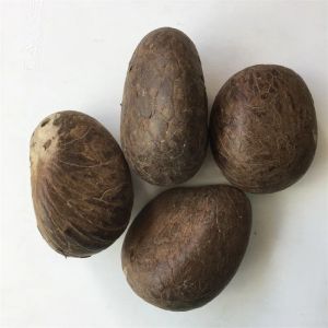 Collane all'ingrosso genuino originale di tagua noce per segnale di buddismo zen intagliato fai -da -te Gioielli a sospensione che producono una collana naturale in legno