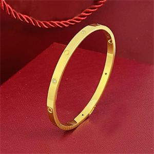 bangle designer for women mens bracelet gold bangles Golden plated Designer Whole Jewelry luxury Green Red Color Graphic Coupl262Q