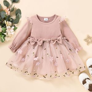 Spring Baby Dress Designer Long Sleeve Girl Princess Dress Birthday Party Dress Flower Embroidery Dress