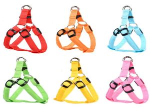 2021 Nylon Pet Safety LED -sele Dog Produkt blinkande ljus Harness LED Dog Harness Leash Rope Belt LED Dog Collar Vest Pet Suppl 6022615