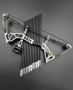 Hunting Slingshots 12lbs Archery Mini Stainless Steel Compound Bow Set Miniature Bow and Arrow Indoor Leisure Decompression Pulley Bow Shooting YQ240226