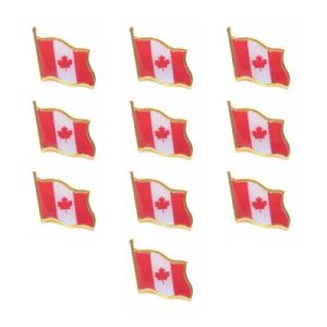 10pcs/lot canada flag lapel pin le dominion du canada hat tie tack badge pins衣類バッグのためのミニブローチ装飾2024226