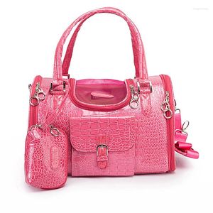 Dog Carrier Portable Outdoor Pet Cat Bag With Purse Leather Travel Small Chihuahua Teddy Carrying Handbag