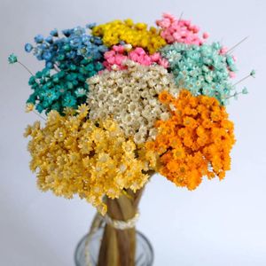 Dekorativa blommor torkade mini Daisy Small Star Bouquet Natural Plants Preserve Floral For Wedding Home Decorat 30/50pcs