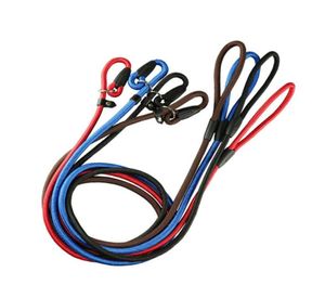 Dog Collars Leashes Nylon Rope Whisperer Cesar Millan Style Slip TrainingLeash Lead and Collar Red Blue Black3 Colors5973338