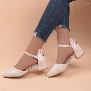 Sapatos de vestido moda coreana apontou toe bombas femininas 2024 primavera confortável salto quadrado senhoras simples escritório