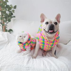 Abbigliamento per cani Felpa con cappuccio scozzese colorata per cani e gatti Gatto maglione colorato brillante (A6474)