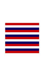 Флаг Форт-Миффлин 3x5 футов, дешевая полиэфирная ткань с цифровой печатью для всех стран, для наружного и внутреннего использования, падение 9347620
