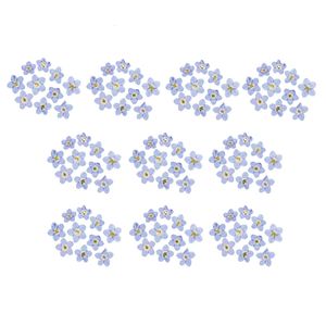 100pcs ForgetMeNot Real Dried Flower for Resin Casting Nail Art Decoration 240223