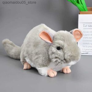 Plush Dolls 25CM Real Life Fat Chinchilla Plush Filling Animal Soft Toy Cute Chinchilla Lanni Granmolina Plush Doll Childrens Gift Mascot Q240227