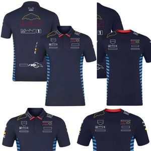 2024 Nova F1 Camisas Polo T-shirt Fórmula 1 Equipe Vinte Anos Comemorando Polo T-shirts Fãs de Corrida Camisa de secagem rápida Camiseta Plus Size