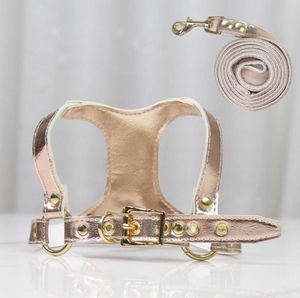 Hundehalsbänder und Leinen, helles PU-Ledergeschirr und Leine-Set, luxuriöses Designer-Zubehör für kleine Hunde, Welpenhalsband, Chihuahua, Ve1690440