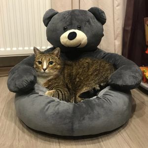 Mats Pet Bed Soft Winter Warm Cute Bear Hug Bed Cat Dog Sleeping Small Large Mat Plush Puppy Dogs Cushion Sofa Comfort Pet Supplies