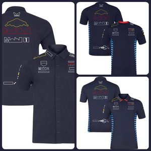 Erkek Tişörtleri 2024'te Yeni F1 Racing Suit T-Shirt Formula Bir Kısa Kollu Yaz Takımı Sürücüleri Polo Gömlek ve Hızlı Kuruyan Giysiler Boyut ve S