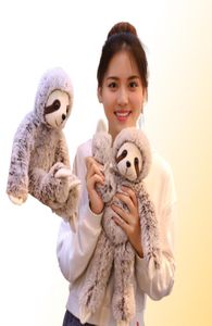 50 cm 70 cm trädklättring Sloth fylld Toy Cartoon Cute Realistic Animal Plush Doll Girl Pillow Baby Sleepase Doll Christ3425034