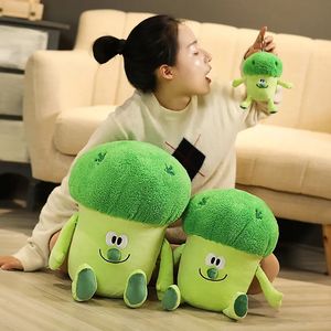 Plush Toy Action Figure Cartoon 35 cm Creative nyckfull broccoli mat plyschleksaker och 15 cm nyckelringar