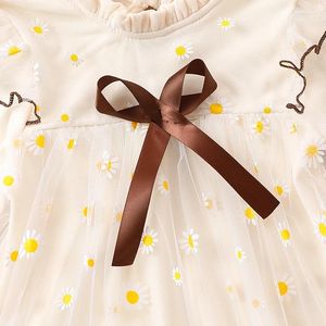 Sukienki dziewczynki ginevsal dzieci urodzone dziecko haftowana sukienka kwiatowa z długim rękawem titu titule letnie stroje