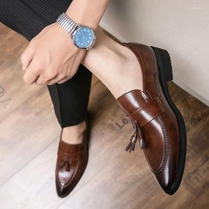 Casual skor spetsiga läder män som kör designer bruna svarta loafers mens mockasins italienska bröllopsklänning tasse