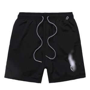 2024 big horse embroidery Shorts High Quality Men Designer Summer Fashion Quick Drying Streetwear Fashion Casual Beach Sportswear Mens Short Pants