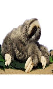 35 см Премиум трехпалый ленивец в реальной жизни чучела животных Folivora подарки голуби плюшевые куклы Toy7505363