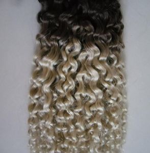 tessuto riccio Tessuto capelli umani 100g capelli vergini ombre 1b613 estensioni due toni ombre capelli umani doppia trama4486286