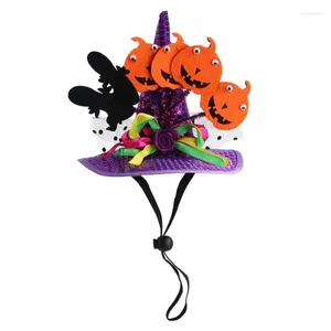 Trajes de gato Halloween Pet Costume Dog Bandana para chapéu de festa com morcego padrão de abóbora cães macios e