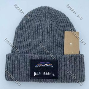 Designer Hat Patagonie Hat Beanie Caps Couple Winter Hat Men Womens Leisure and Warm Outdoor Outgoing Knitted Hat Trend 282