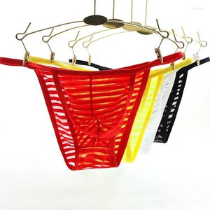 Roupa de banho masculina sexy briefs transparente biquíni calcinha inferior cintura baixa masculino respirável sunbath beachwear cueca gay