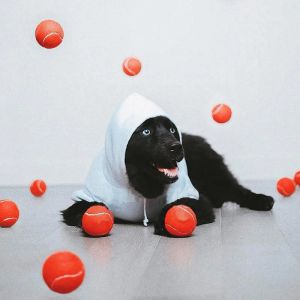 Masy Fashion Funny psa Pet Toys Training Tennis Ball Puppy Red Ball for French Bulldog Pug OT0032