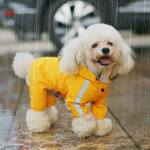 Regnrockar andningsbar hund regnrock 4legs reflekterande vattentäta hundkläder för små hundar corgi kostym valp jumpsuit husdjur regnrock