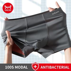 Cuecas Miiow 3 pcs 100s modal antibacteriano homem boxer roupa interior calcinha masculina sem costura sexy homens macios de seda masculino boxershorts