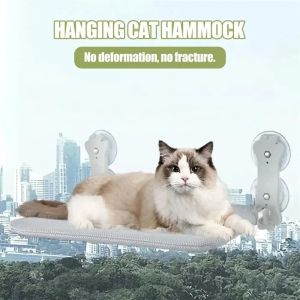 Mats Cat Hammock Foldable Soft Hanging Beds Sunny Seat Window Mount Comfortable Pet Shelf Supplie Toy Washable Cat House Bearing