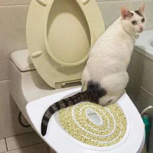 Repellents Cats Toilet Trainer Reusable Kitten Puppy Potty Training System For Cats Litter Box Mat Indoor Toilet Pet Supplies