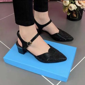 Sandaler Fashion Design Large Size Women Shoes 2023 Summer New Pointed Toe Mid Thick Heel For Sandalias de Mujerh24229