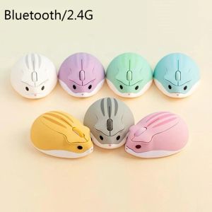 Möss Bluetooth/2.4G trådlös söt mus hamster tecknad dator möss USB Mute Mause Ergonomiska mini Optiska möss för PC Laptop Tablet