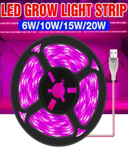 Grow Lights USB Full Spectrum Phytolamps LED Light 5V växttillväxt 05 1 2 3M flexibelt remsa vattentätt tältfrö lampe7044752