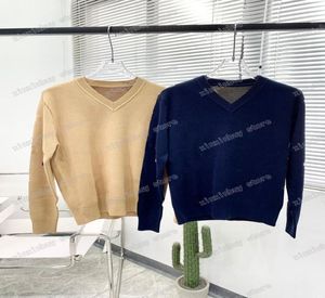 22ss Designers Maglioni Uomo Donna Jacquard Doppia lettera Uomo Paris Tee Top Quality Tees Street Manica lunga Pullover blu navy Kh7595334