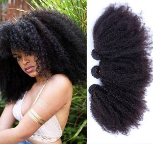 Tani 9a Virgin Mongols Kinky Curly Hair Bleached Nanots 100% Afro Kinky Curly Human Virgin Hair Bundles Bez zrzucania nr 1048039