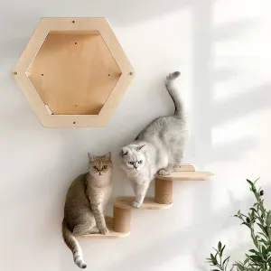 Tiragraffi 1 pezzo Amaca da parete per albero di gatti a forma di luna con scala in legno per arrampicarsi e dormire Scaletta a tre piani per animali domestici