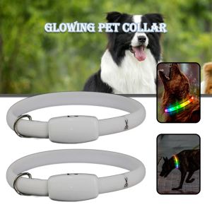 Halsbänder LED leuchtende Hundehalsbänder, wiederaufladbar, wasserdicht, leuchtendes Halsband, abnehmbares Hunde-Nachtlicht-Halsband, Haustier-Hunde-Sicherheitshalskette