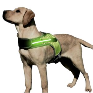 Harnesses LED Lights Dog Chest Straps, Night Walking Harness, Reflective Vest for Medium & Large Dogs Husky Shepherd Labrador Pet Supplies